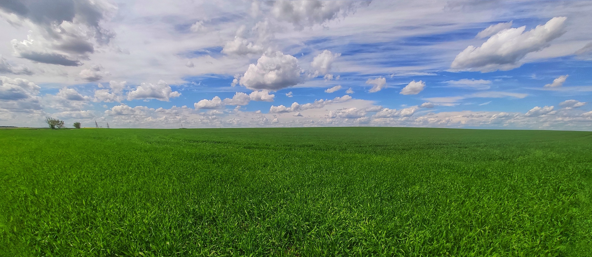 Лето близко | Пикабу