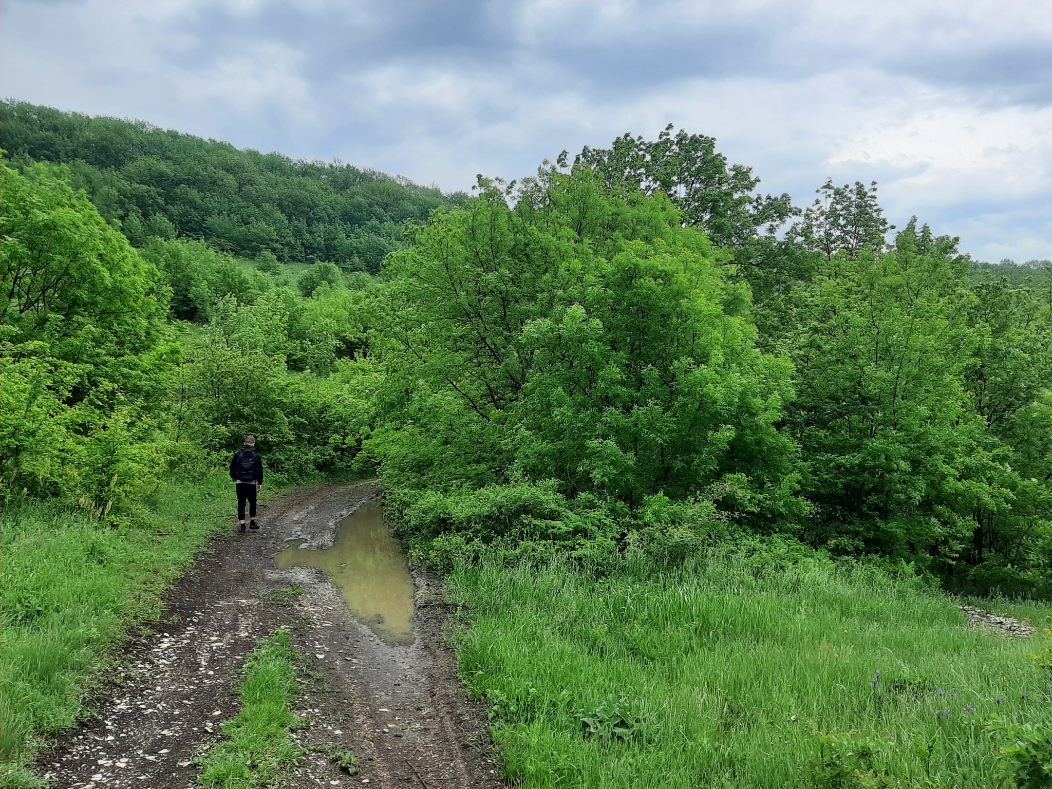 Hike - My, Hike, Overcoming Yourself, Novorossiysk, Nature, Landscape, Video, Longpost