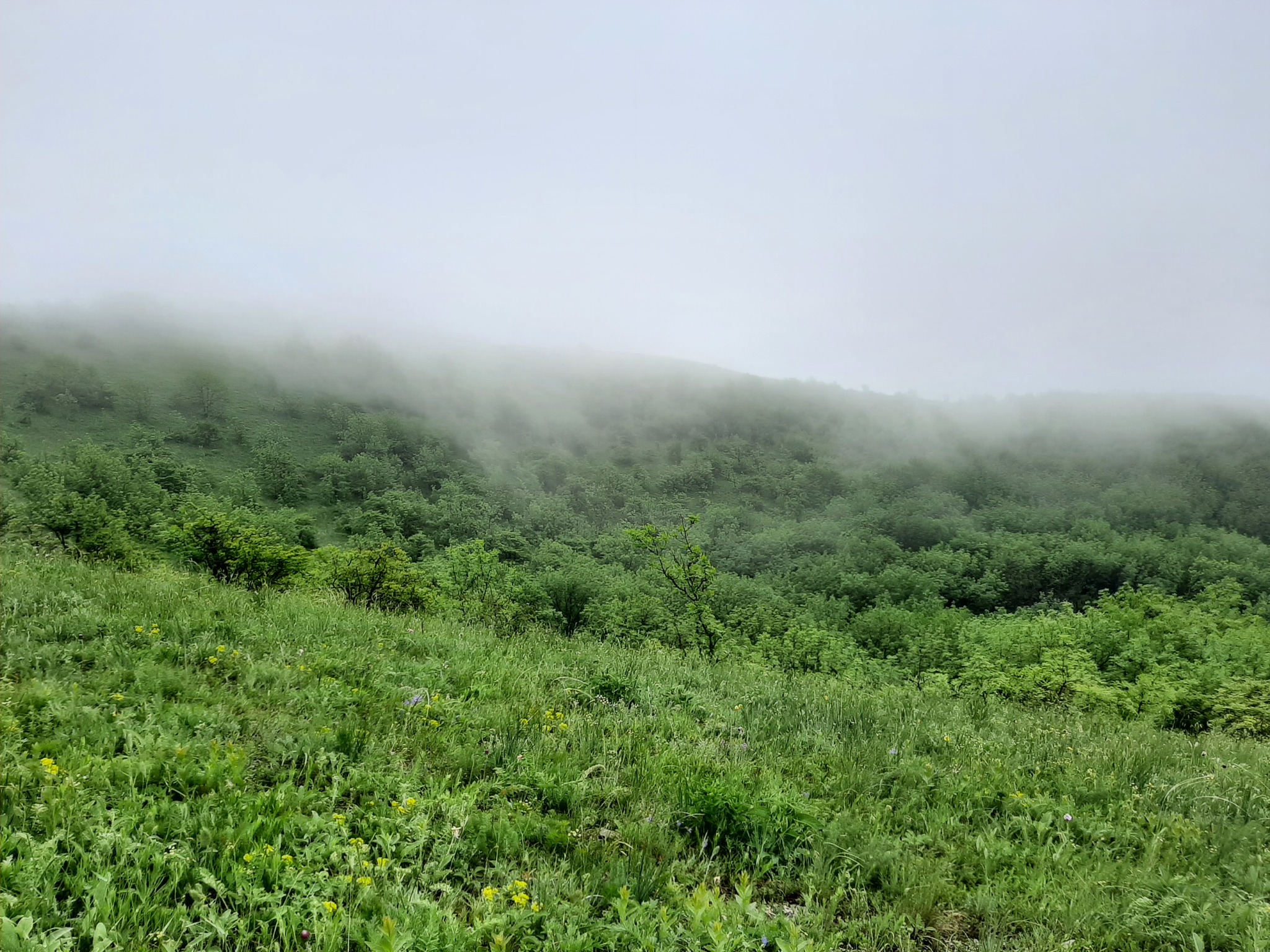 Hike - My, Hike, Overcoming Yourself, Novorossiysk, Nature, Landscape, Video, Longpost