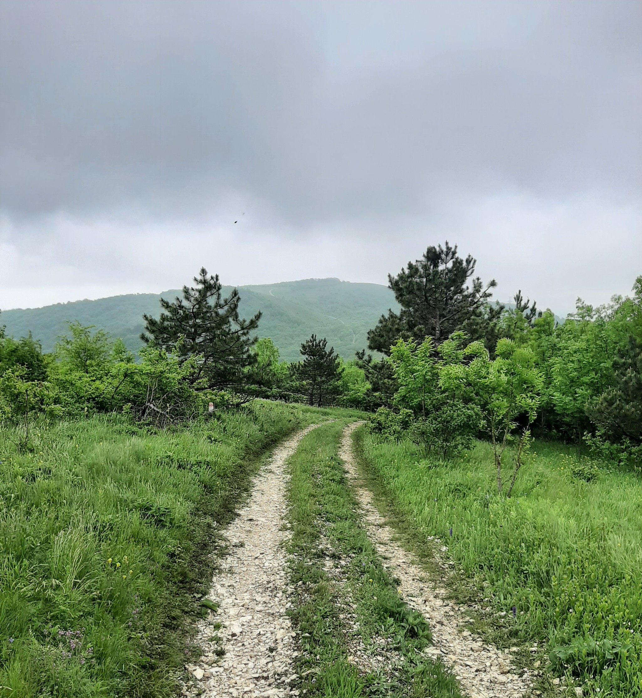 Hike - My, Hike, Overcoming Yourself, Novorossiysk, Nature, Landscape, Video, Longpost