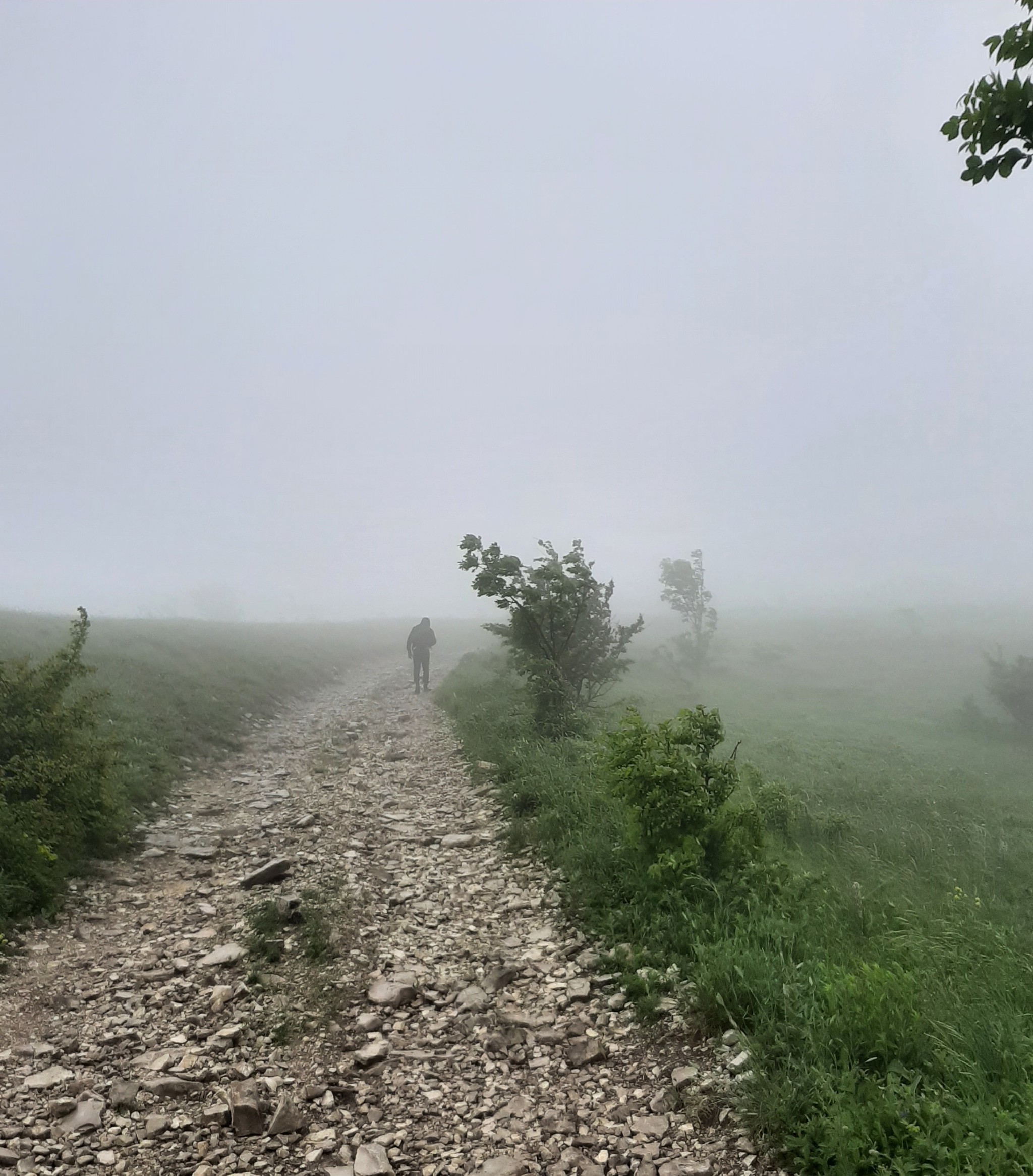 Hike - My, Hike, Overcoming Yourself, Novorossiysk, Nature, Landscape, Video, Longpost