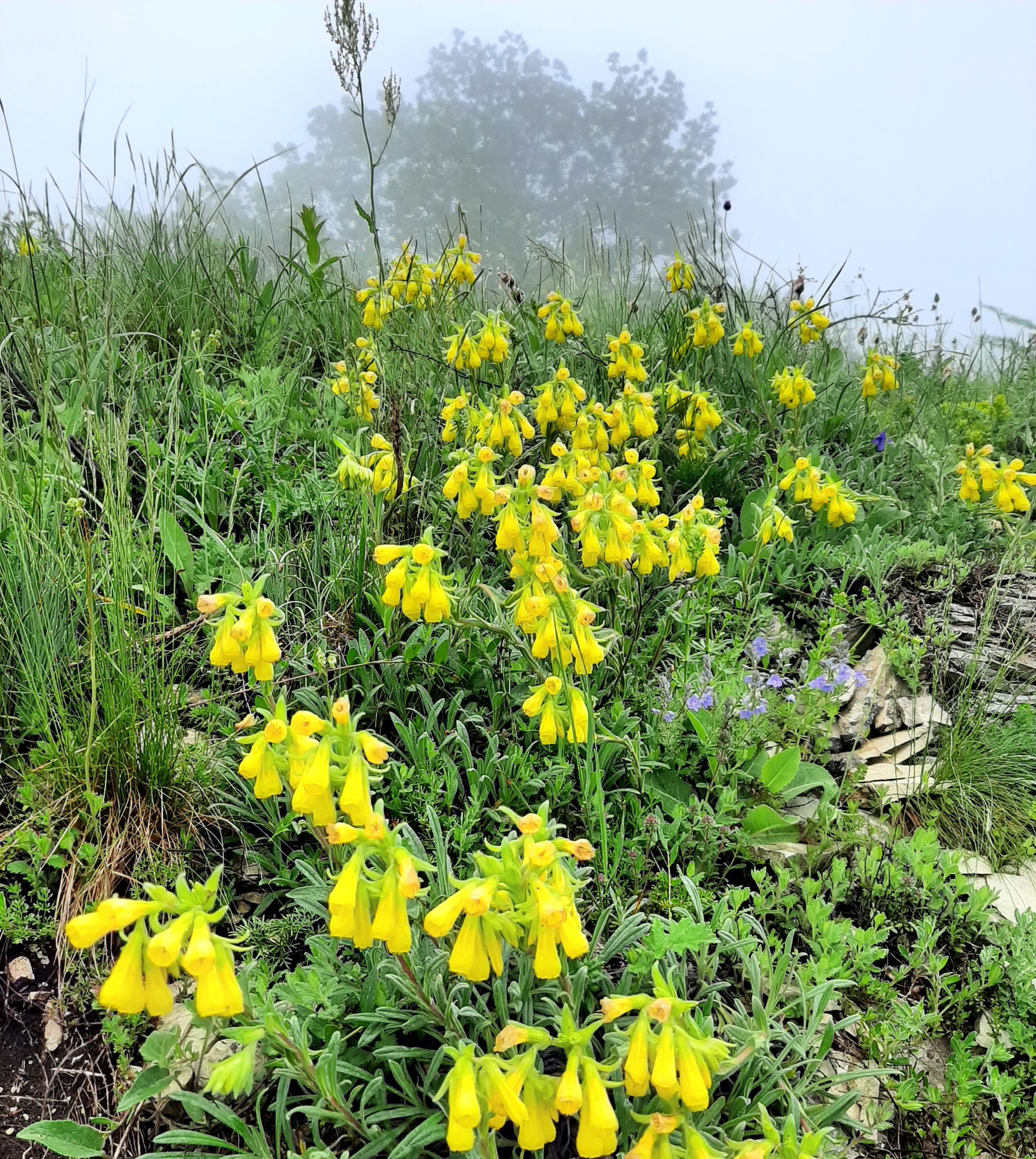 Hike - My, Hike, Overcoming Yourself, Novorossiysk, Nature, Landscape, Video, Longpost