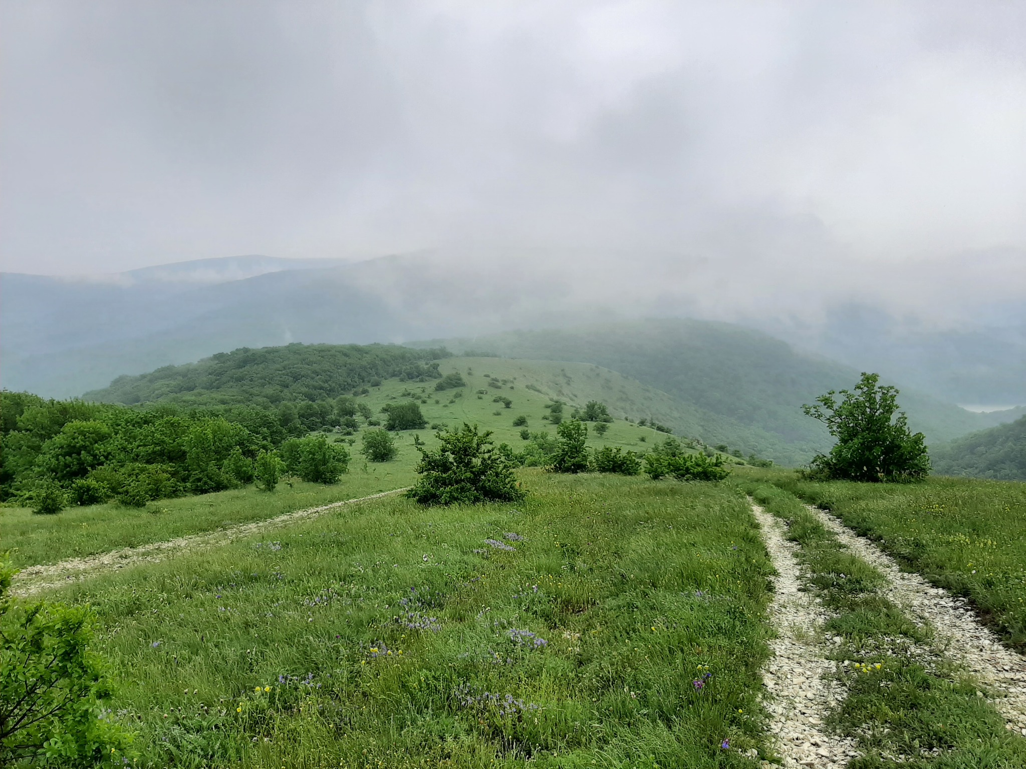 Hike - My, Hike, Overcoming Yourself, Novorossiysk, Nature, Landscape, Video, Longpost