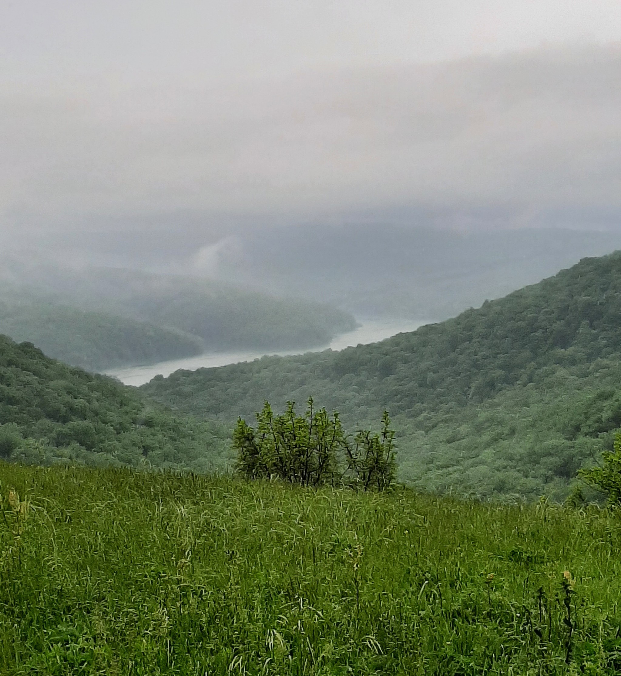 Hike - My, Hike, Overcoming Yourself, Novorossiysk, Nature, Landscape, Video, Longpost