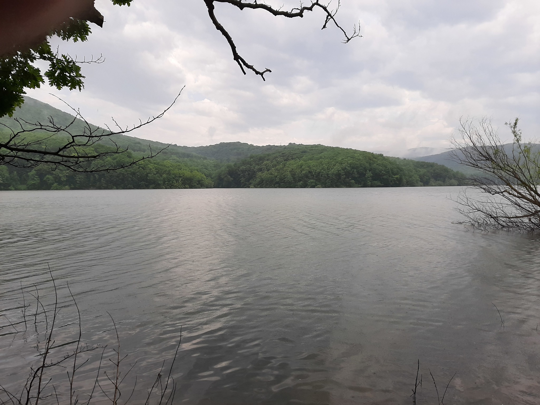 Hike - My, Hike, Overcoming Yourself, Novorossiysk, Nature, Landscape, Video, Longpost