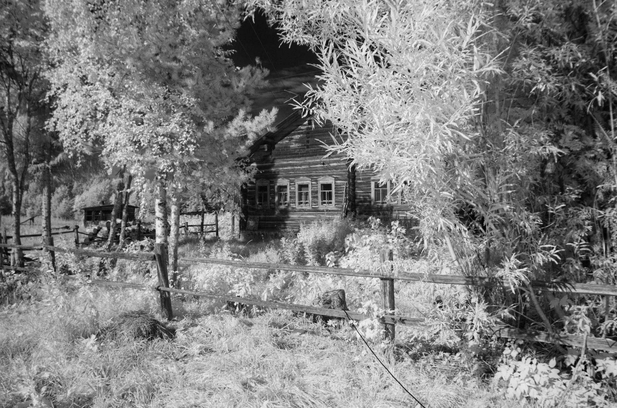 Village - My, Infrared shooting, Village, The photo, Arkhangelsk region, Longpost