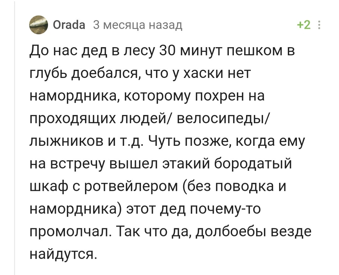 Нечто вечно-типичное: а шкаф-то я и не заметил | Пикабу