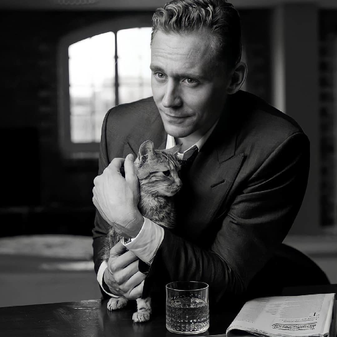 Tom Hiddleston and cat - Tom Hiddleston, cat, The photo, Milota, Longpost