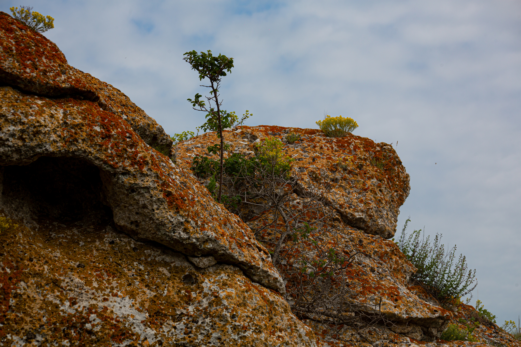 General beaches. - My, Crimea, Travels, The photo, General's beaches, Longpost