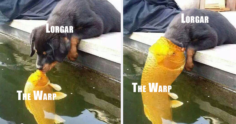 Lorgar and the Warp - Warhammer 40k, Lorgar, Wh humor