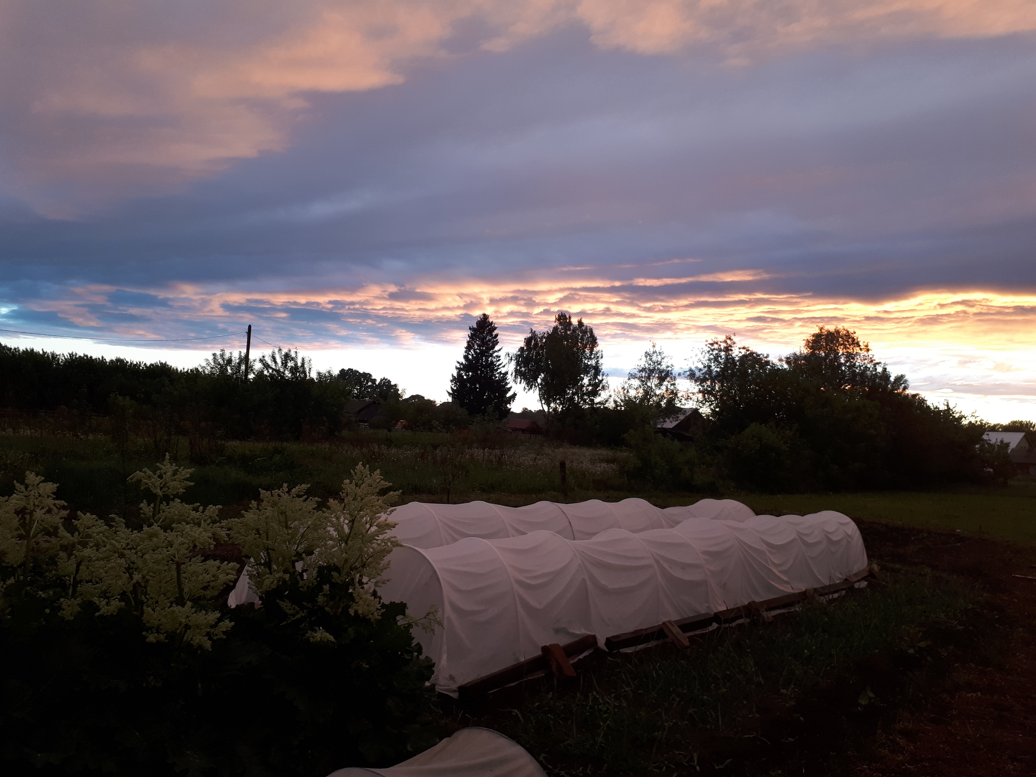 Just another evening after the storm - My, Village, Photo on sneaker