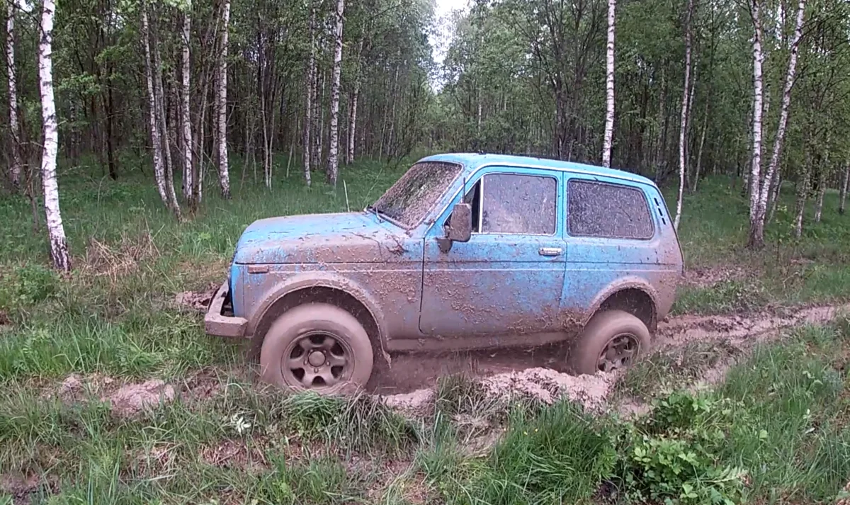 FOUND A PURPOSE FARM AT THE EDGE OF A Stream! Search with a metal detector - My, Search, Find, Treasure hunter, Metal detector, Forest, Hobby, Travels, Nature, , Numismatics, Video, Longpost, Treasure hunt