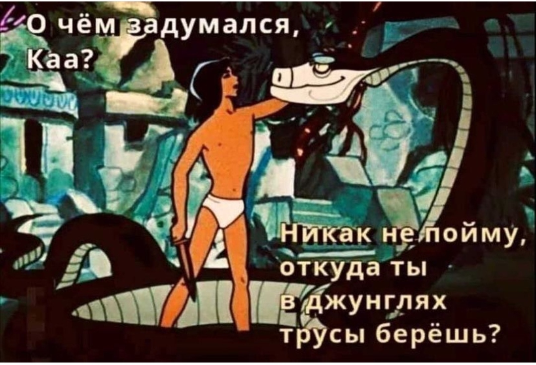 Не поймет или непоймет. Маугли 1973 Каа. Маугли Союзмультфильм Каа. Каа Маугли Советский.