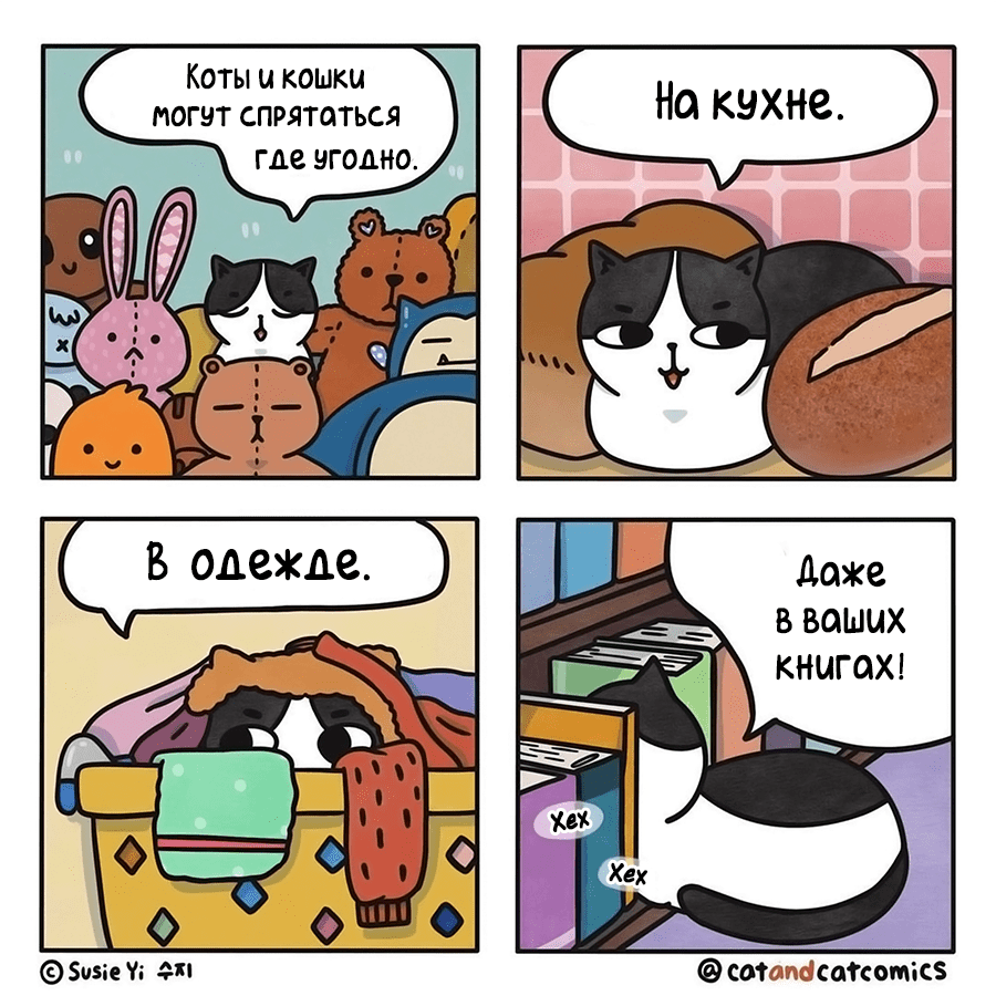 Котокомикс | Пикабу