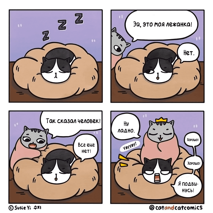 Котокомикс | Пикабу