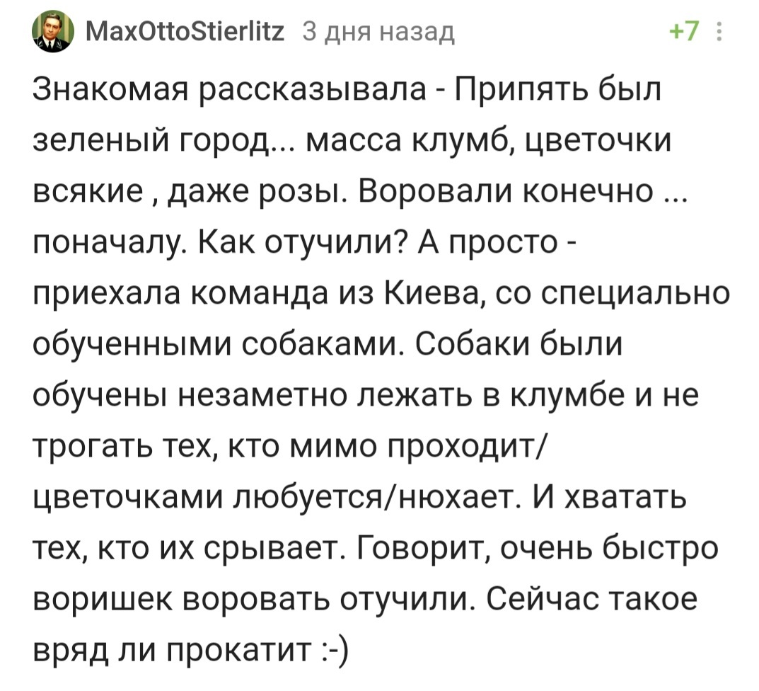 Всякое про Припять слышала, но это ни разу - Байка, Время офигительных историй, Собака, Охрана, Кусь, Припять, Комментарии на Пикабу, Скриншот, Длиннопост, , Бордер-Колли