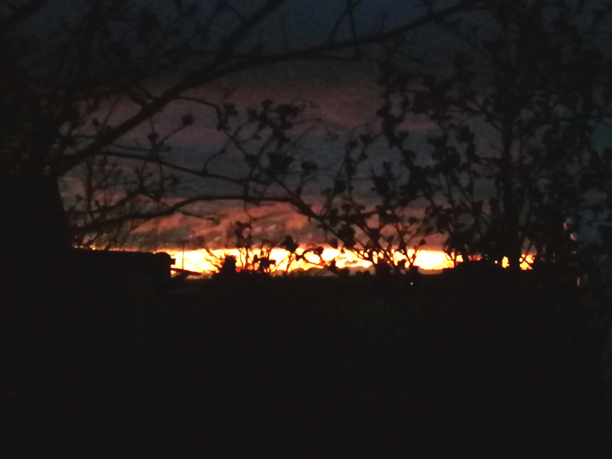 Sunset in Russia - My, Sunset, Flag, Tricolor, Nature, Sky