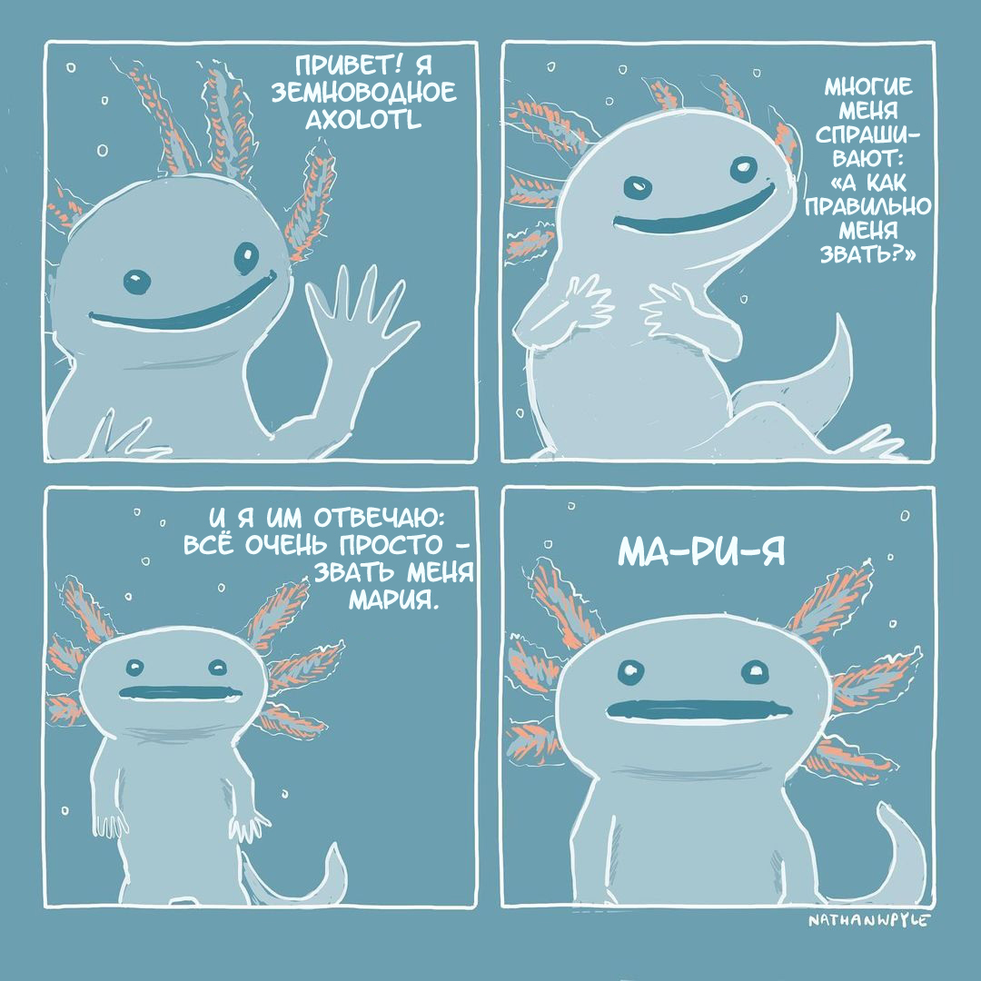 Axolotl - Comics, Translation, Translated by myself, Axolotl, Nathan w Pyle