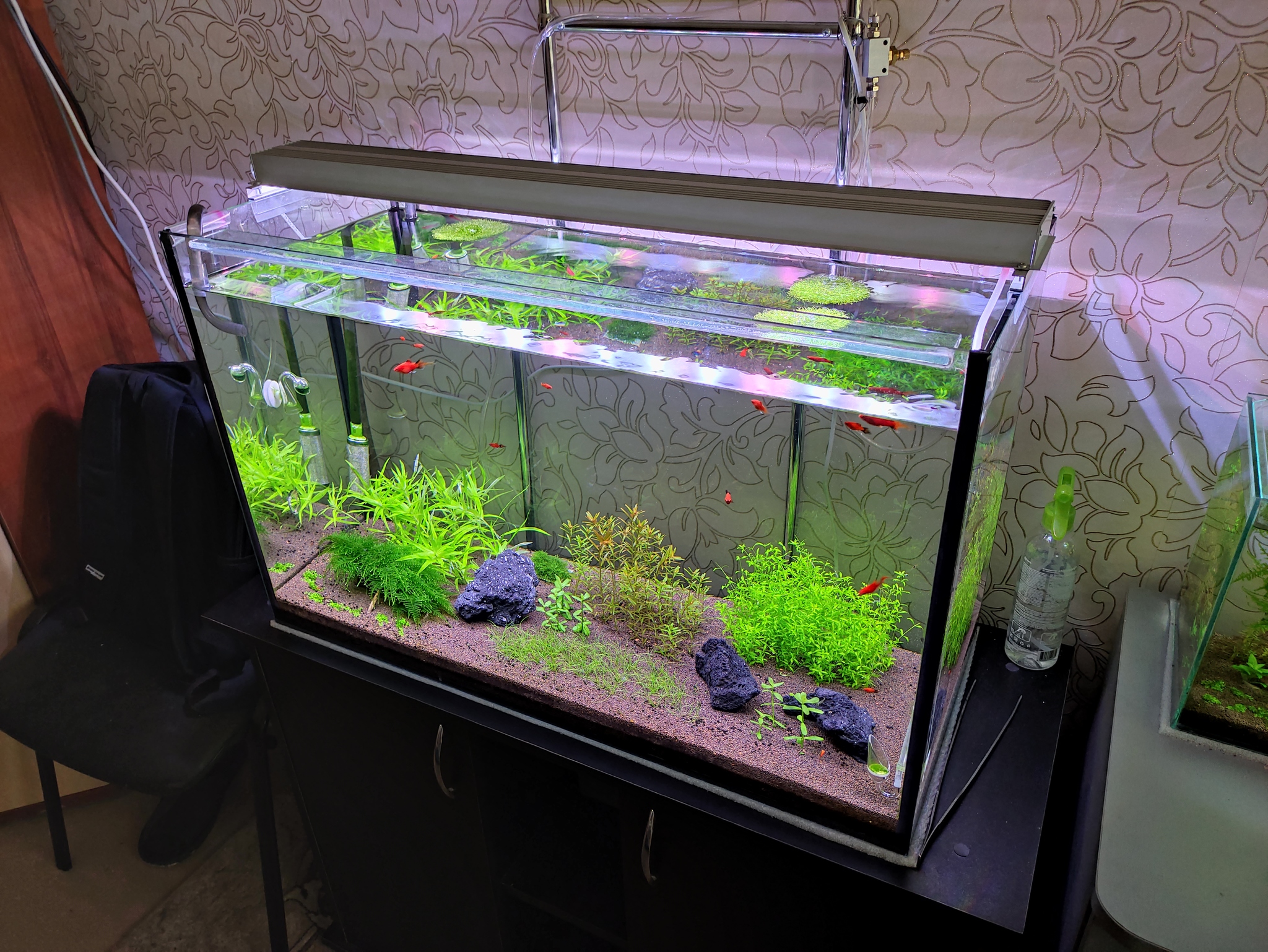 Homemade aquarium lamp - My, Aquarium, With your own hands, Electronics, Led Lighting, Longpost