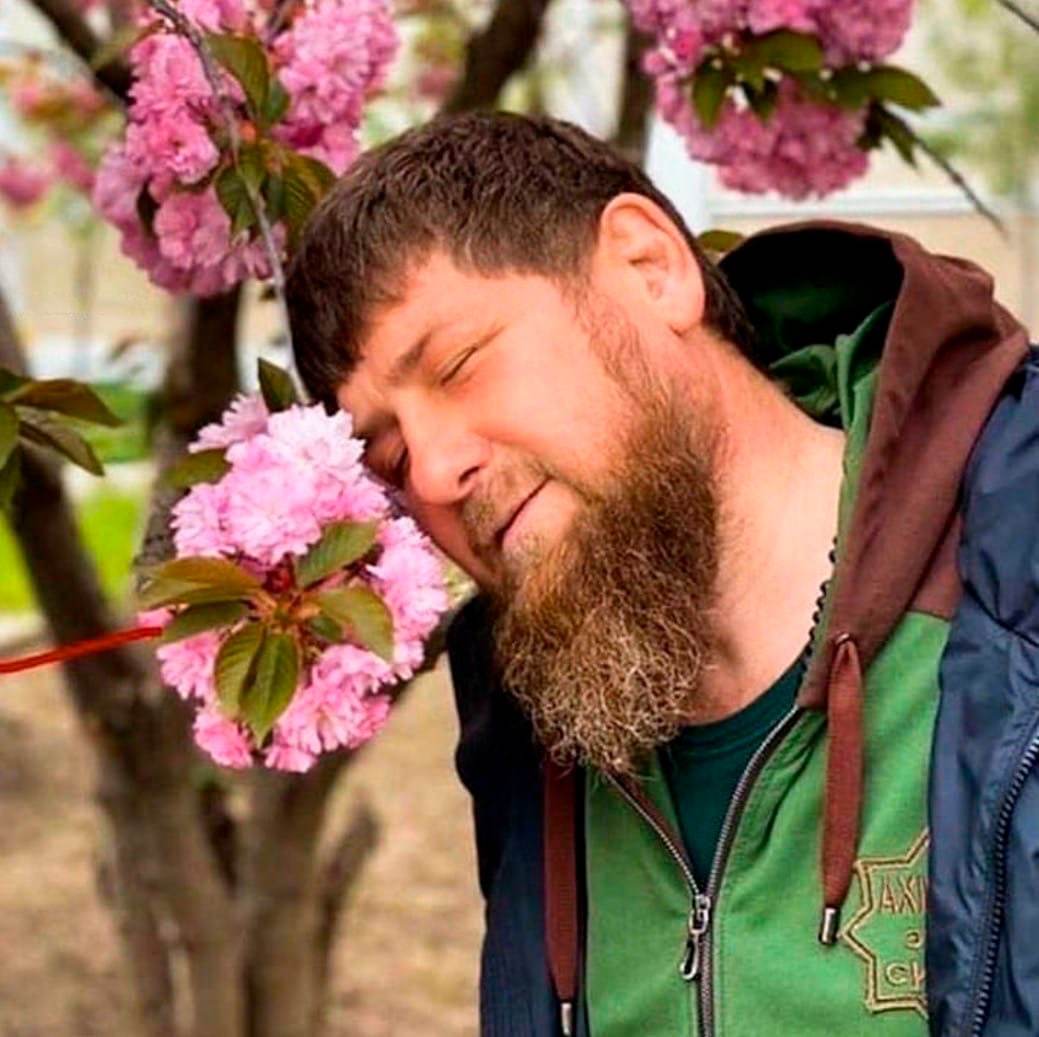 When you listen to the flowers apologize... - My, Humor, Milota, Ramzan Kadyrov