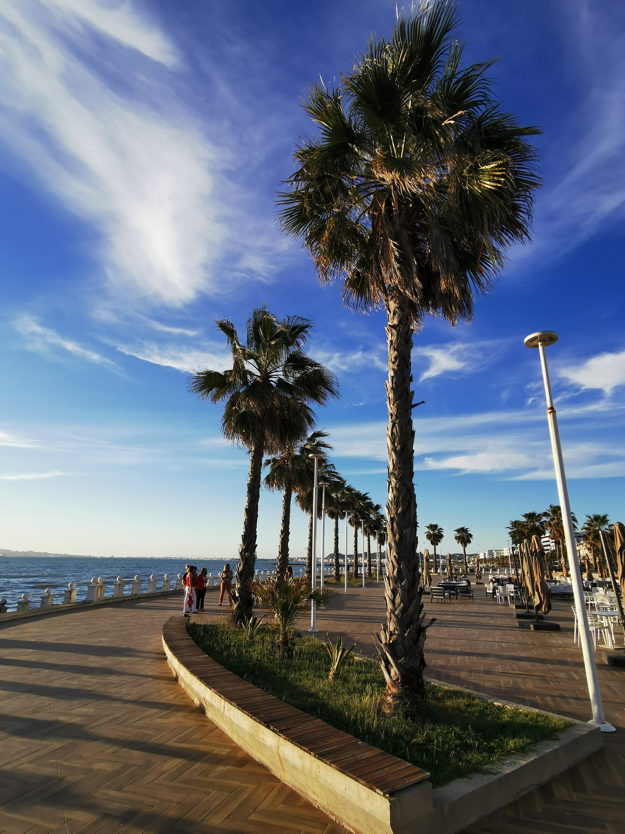 Adriatic coast - Albania, Sea, Palm trees, Landscape