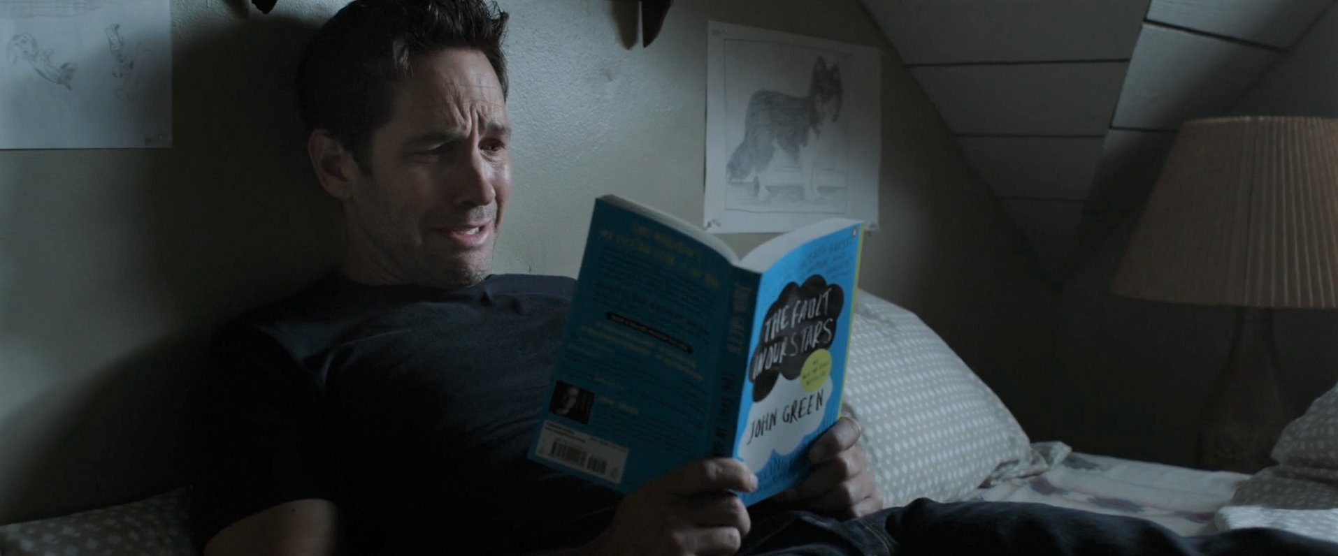 What book is Scott Lang reading in Ant-Man and the Wasp? - Movies, Marvel, Ant-man, Books, Looking for a book, Question, Help me find