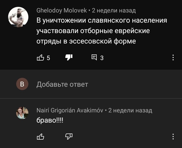 Продолжение поста «Остановите планету, я сойду» - Моё, Иди и смотри, YouTube, Комментарии, Негатив, Куда катится мир, Скриншот, Идиотизм, Фашизм, , Тупость, Ответ на пост, Мат, Видео, Длиннопост