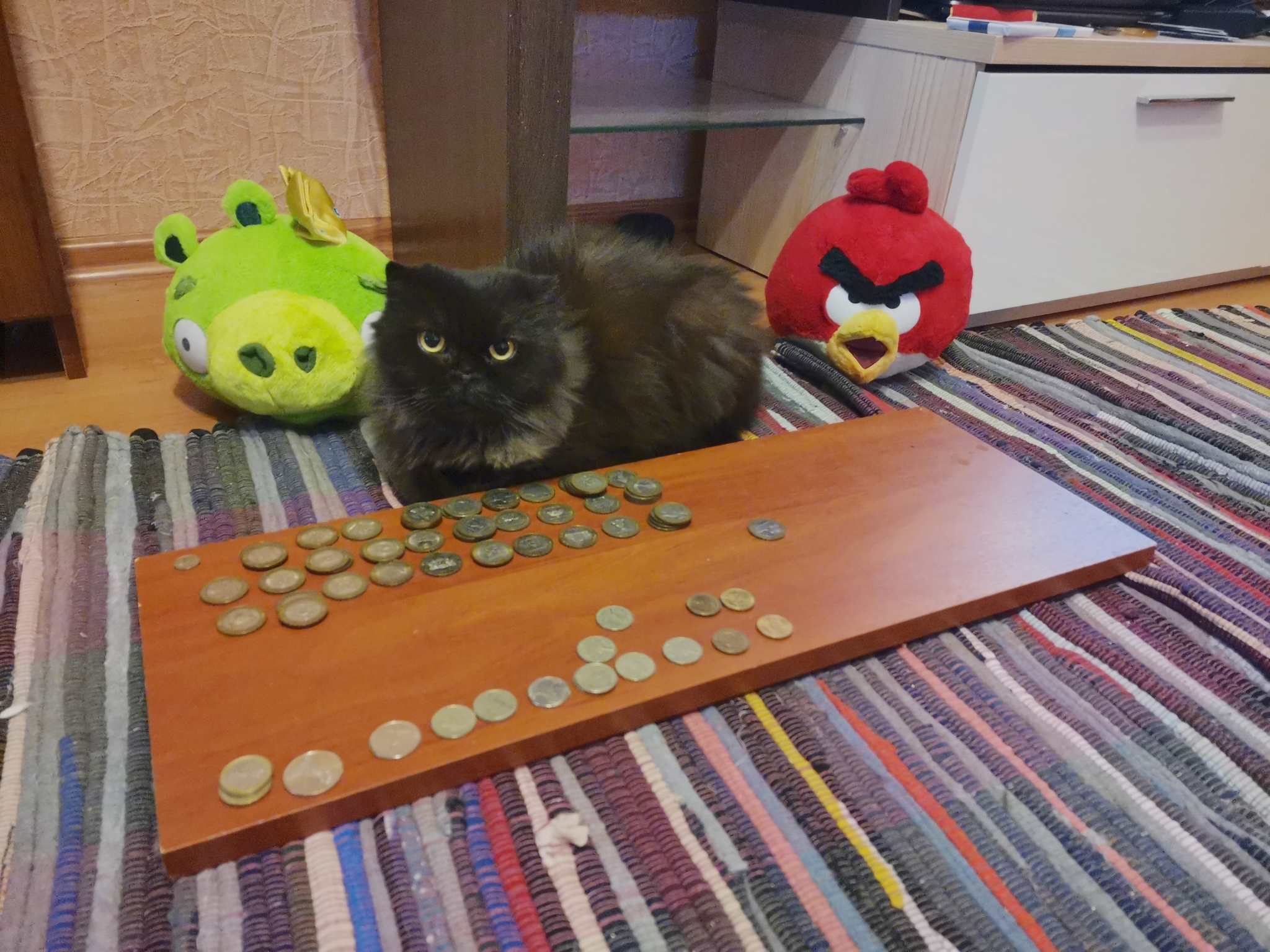 Khajiit has a product if you have coins, friend - My, cat, Money