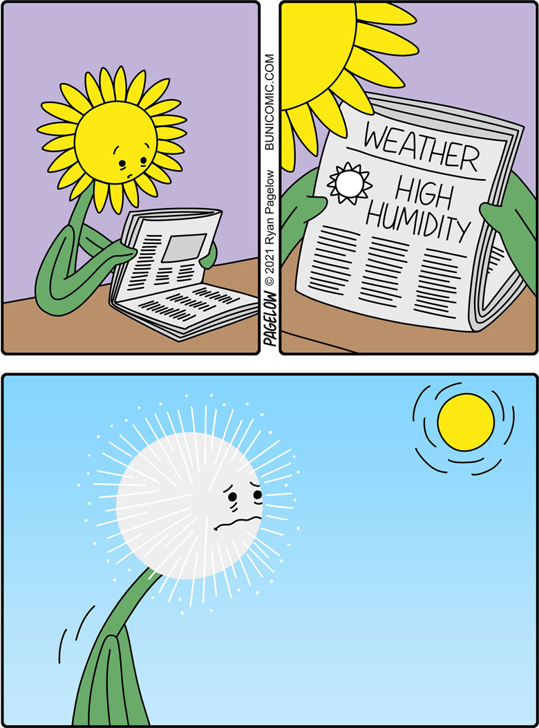 Weather outside the window - Buni, Pagelow, Humidity, Comics in English