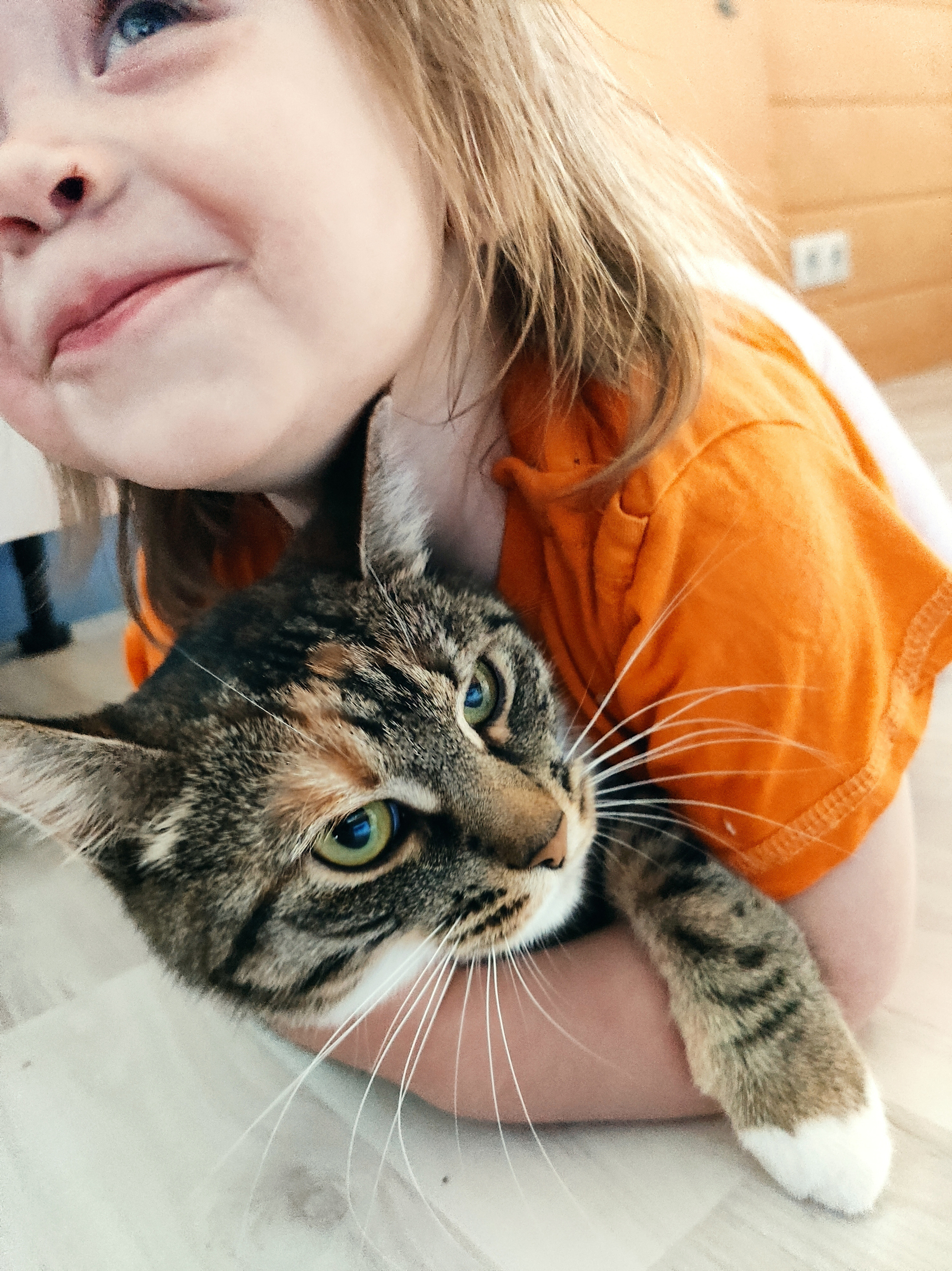 Life with children is what it is. - My, cat, The photo, Children, Longpost