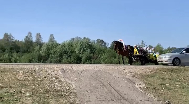 Response to the post A car at speed flew into a horse-drawn cart with artists - Crash, Road accident, Auto, Horses, Negative, Driving, Safety, Traffic rules, Reply to post