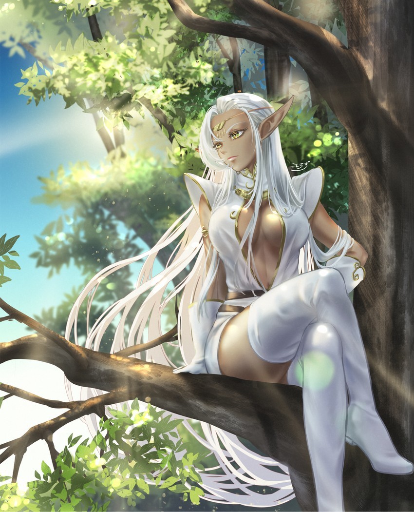 Pirotess - NSFW, Elves, Anime, Anime art, Record of lodoss War, Longpost