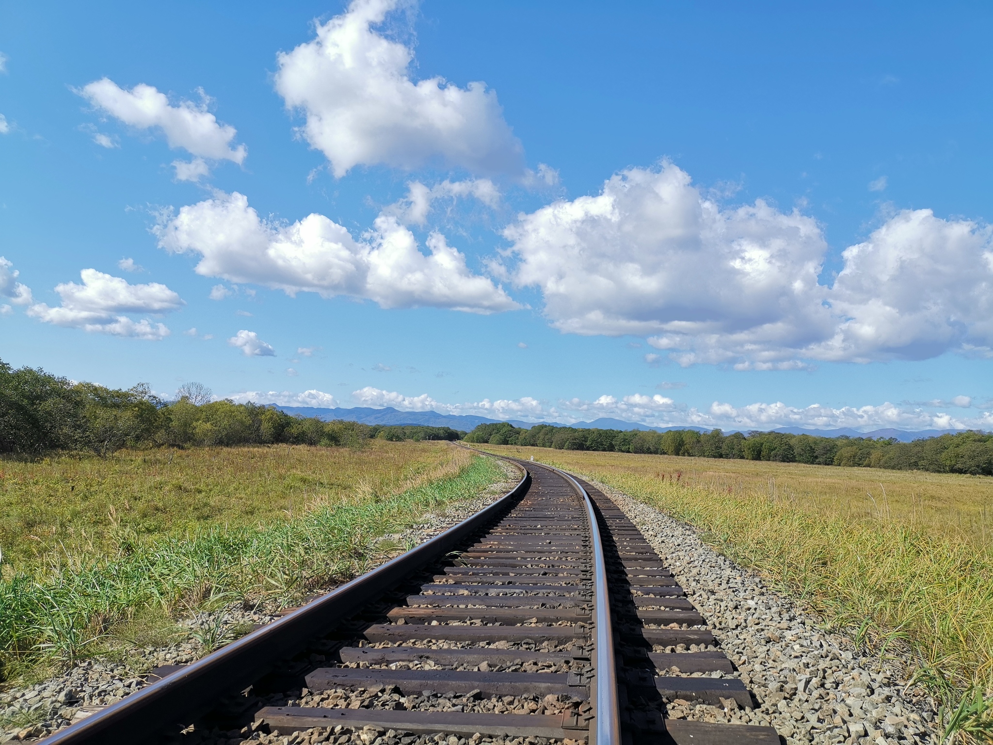 Work landscape - My, Railway, Mobile photography, Russian Railways