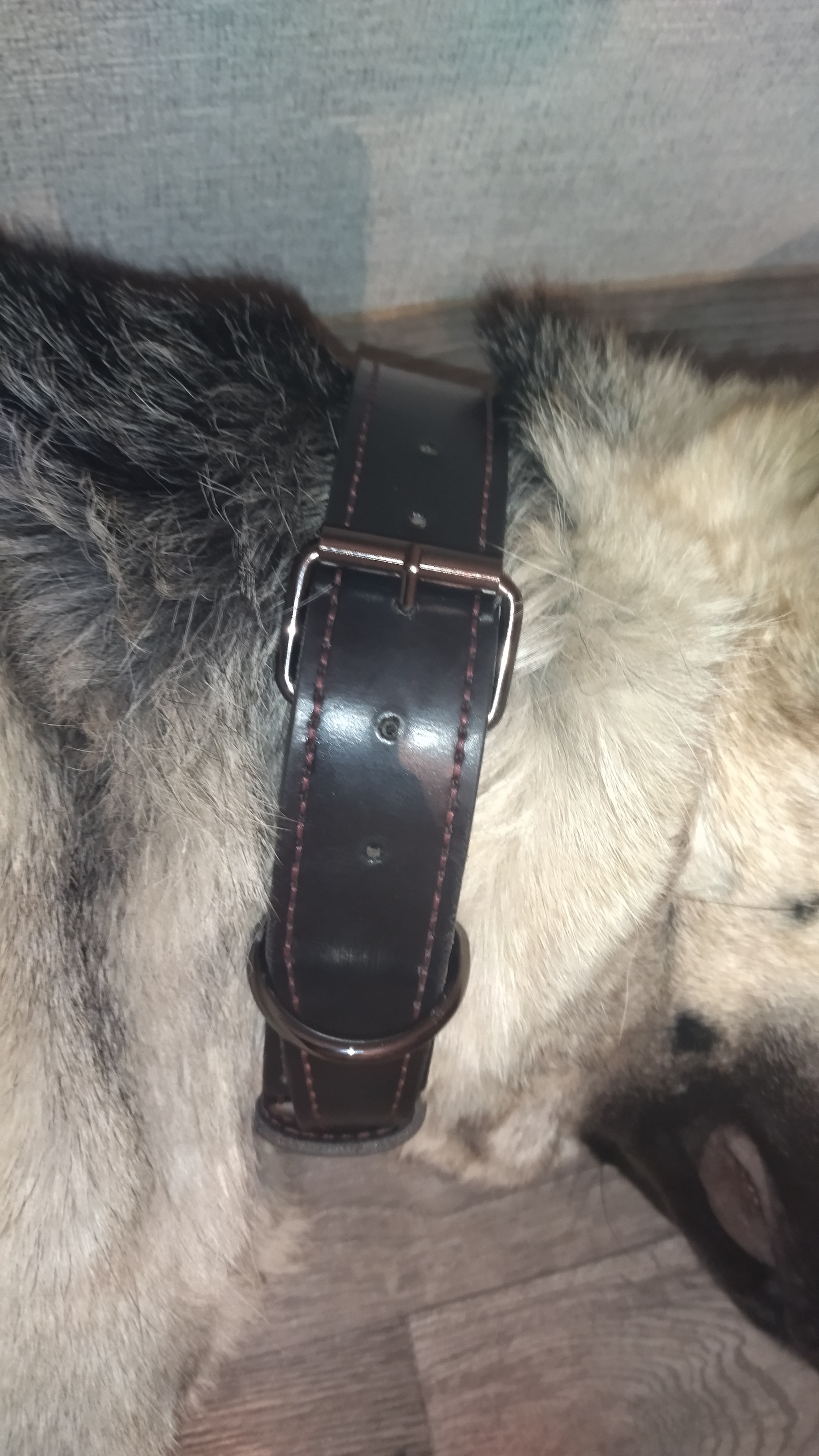 Made a second collar - My, Needlework without process, Collar, Leather craft, East European Shepherd, Longpost, Dog, Leather products