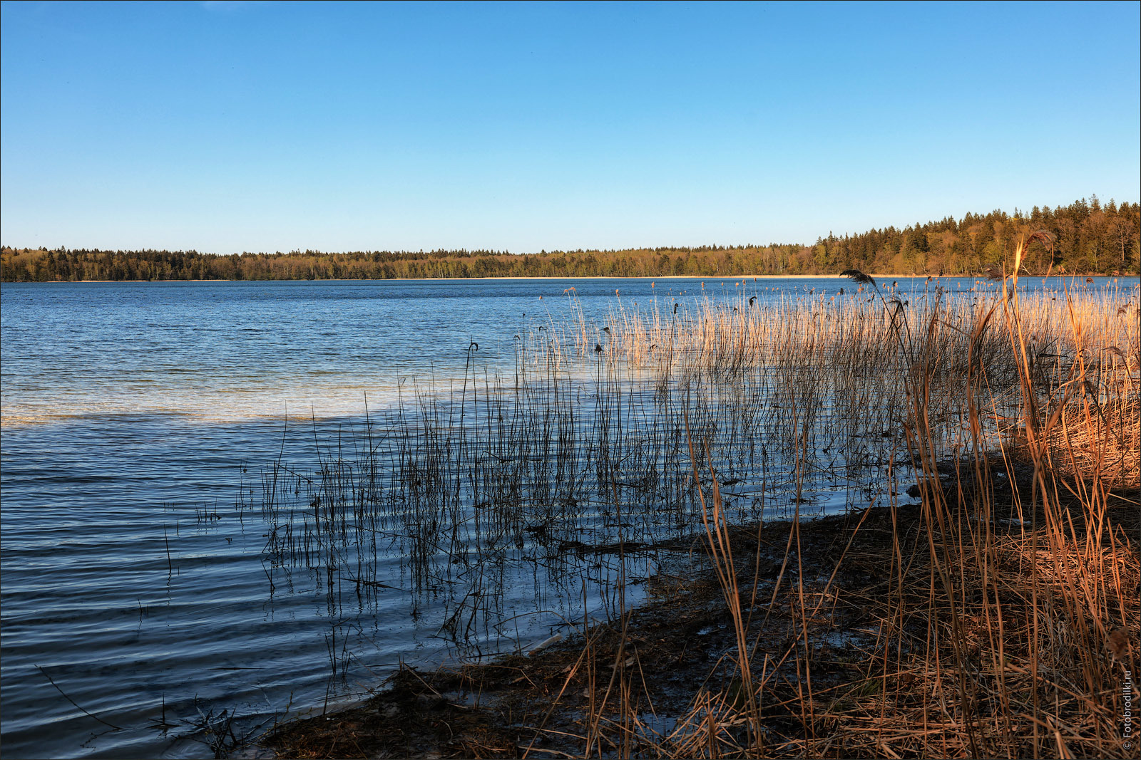 Raytsa - lake Svityaz, Belarus - My, Photobritish, Travels, Republic of Belarus, Architecture, Church, sights, Lake, The photo, Longpost