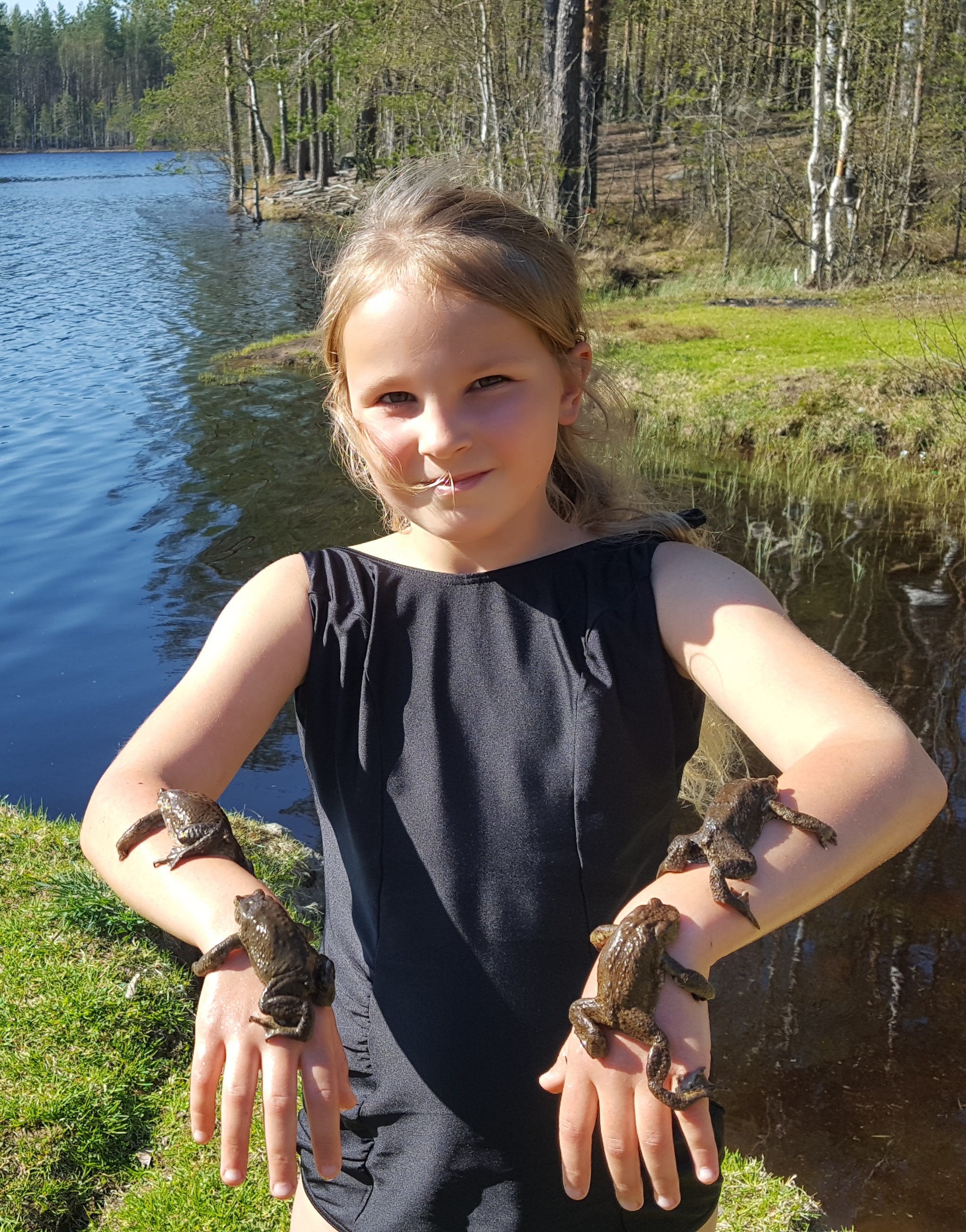 Sleepy frogs are happy to bask - My, Frogs, Nature, Karelian Isthmus, Lake, Spring, Children