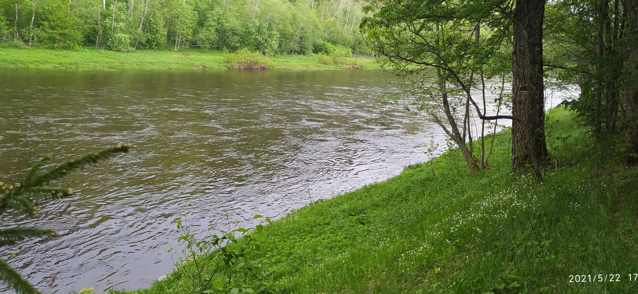 Природные выходные - Моё, Фотография, Природа, Тверская область, Отдых на природе, Пейзаж, Мобильная фотография, Длиннопост