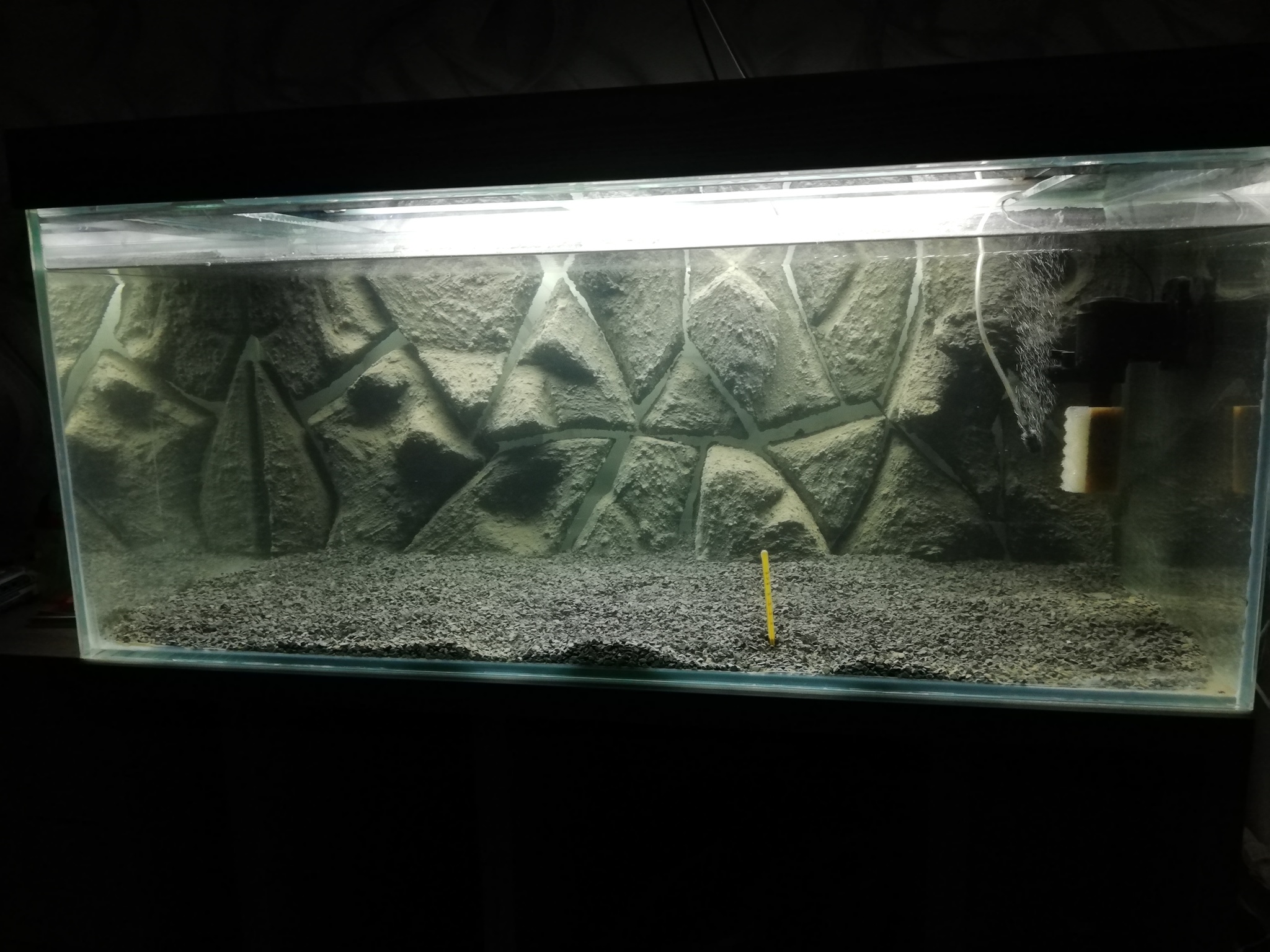 I decided to somehow build an aquarium for myself, ordered glass and began to sculpt the background - My, Aquarium, Aquarium, Aquarium fish, Longpost