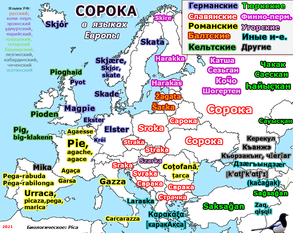 Слова европейских языков. Карта языков Европы. Языки Европы. Карта languages in Europe. Птица на языках Европы.