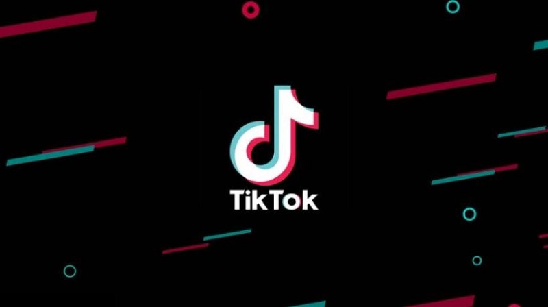 История о том как я запускал свой форум - Моё, SEO, Tik Tok, Вебмастер, Длиннопост