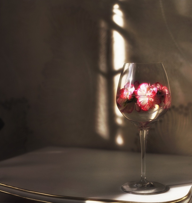 Wineglass - My, The photo, Still life