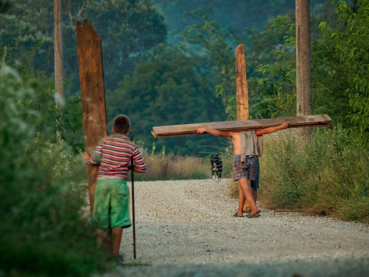 accidental renaissance. - Accidental renaissance, The photo, A selection, Longpost