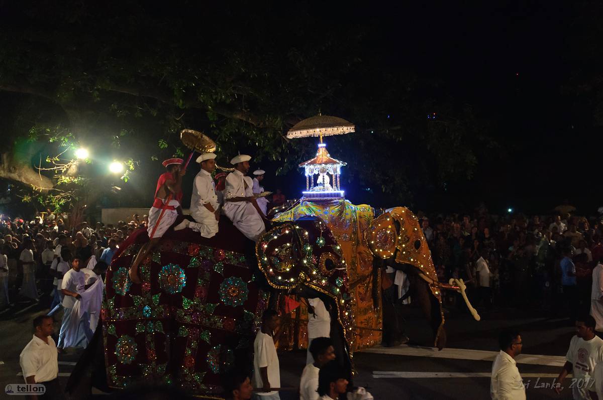 Navam perahera - My, Sri Lanka, Holidays, Buddhism, Elephants, The festival, Traditions, Travels, Longpost