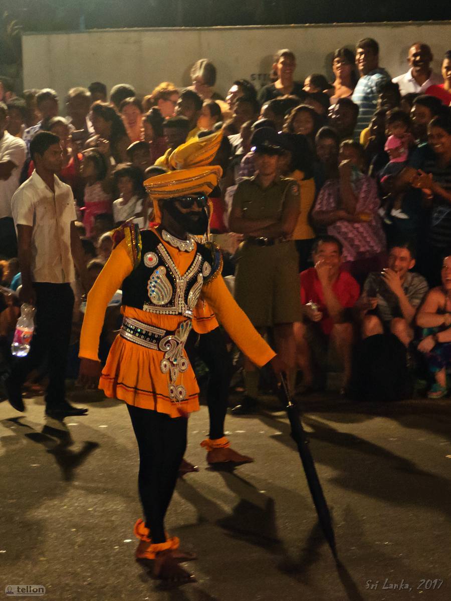 Navam perahera - My, Sri Lanka, Holidays, Buddhism, Elephants, The festival, Traditions, Travels, Longpost