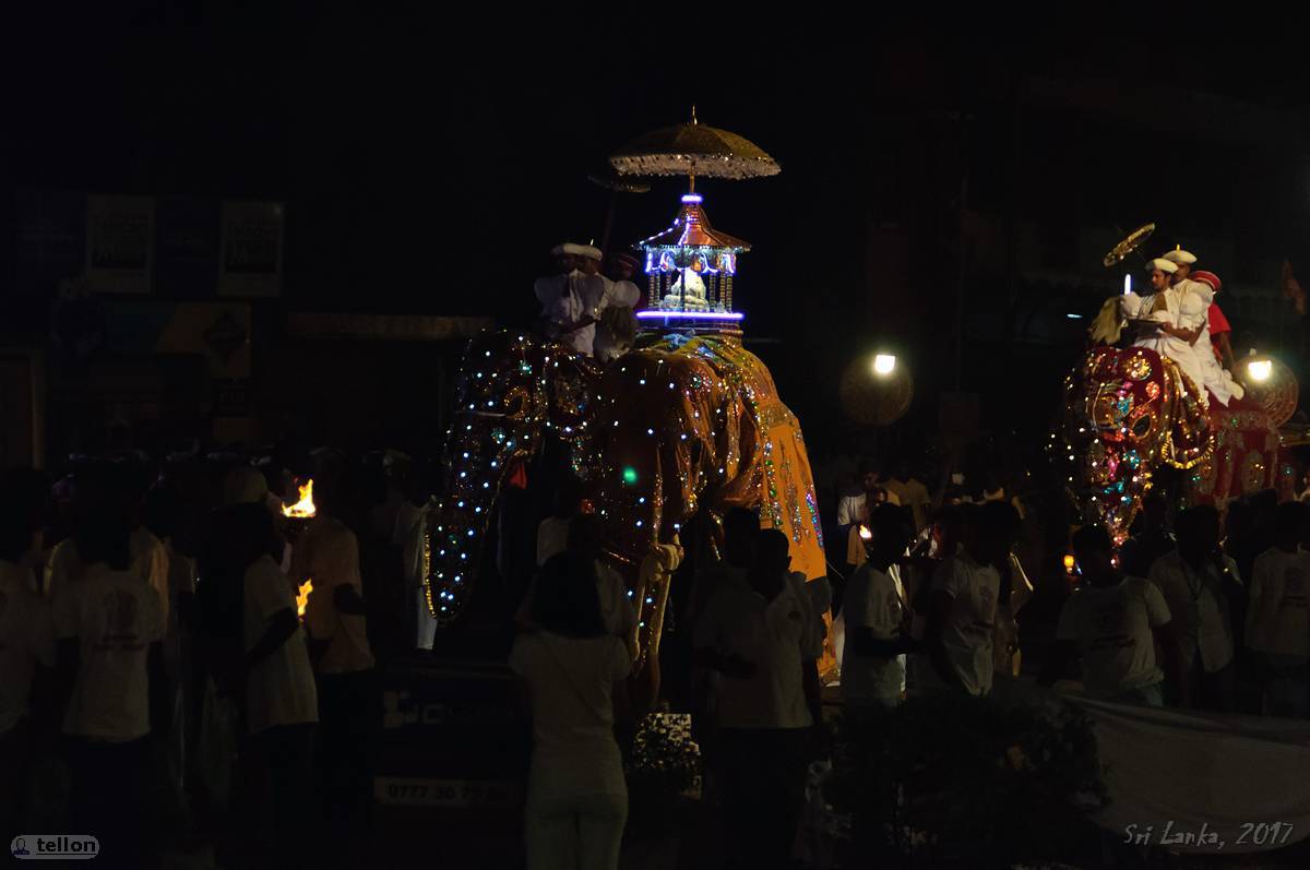 Navam perahera - My, Sri Lanka, Holidays, Buddhism, Elephants, The festival, Traditions, Travels, Longpost