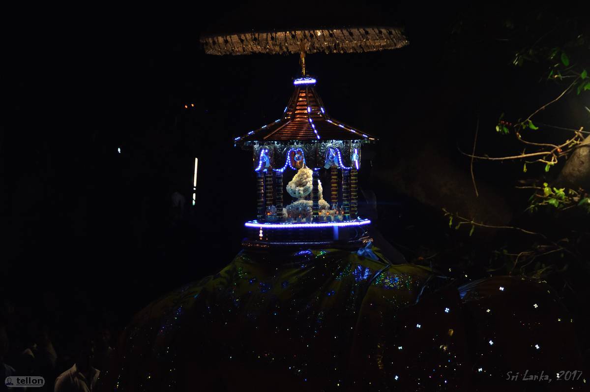 Navam perahera - My, Sri Lanka, Holidays, Buddhism, Elephants, The festival, Traditions, Travels, Longpost