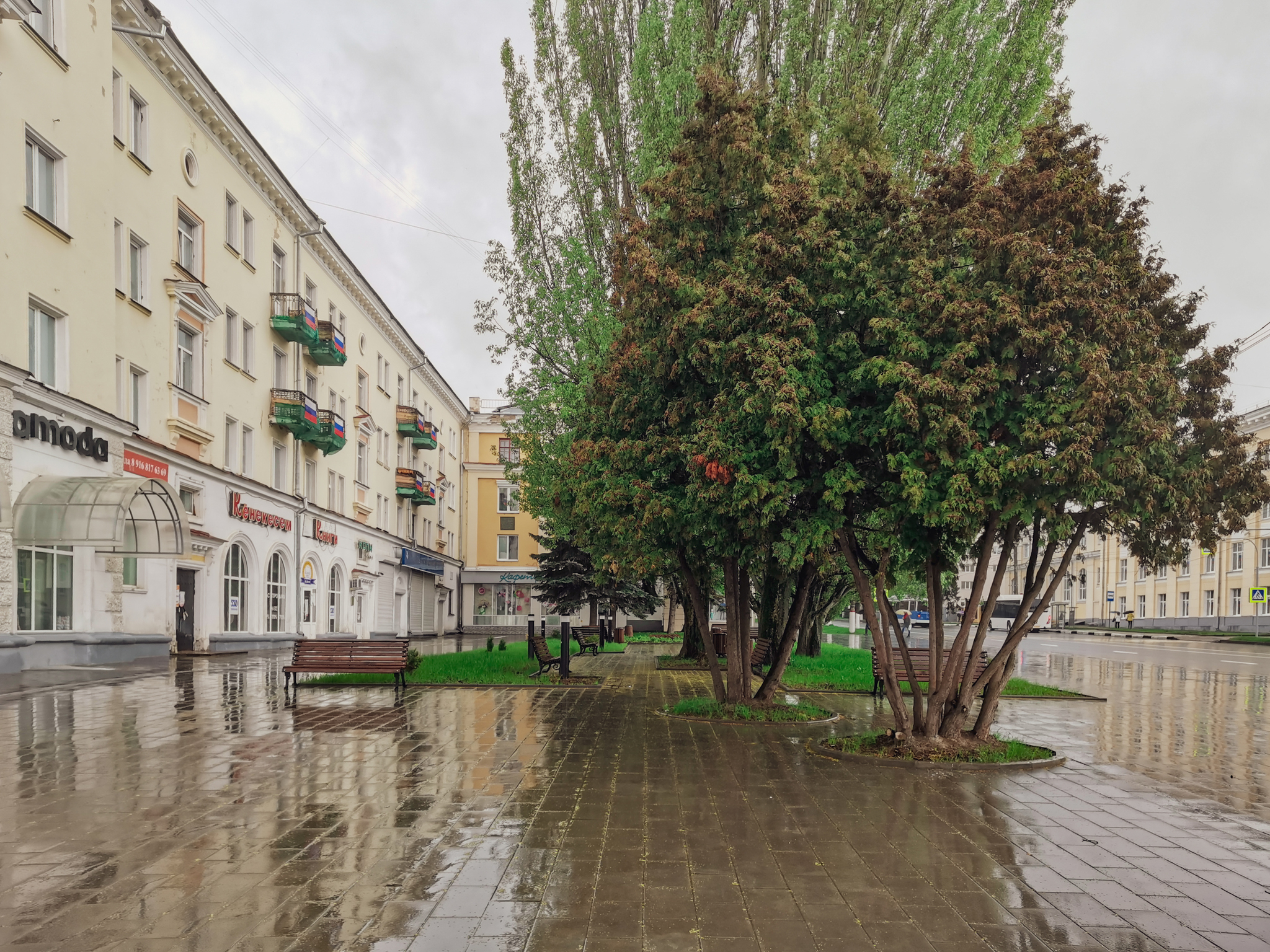 Чебоксары: Тёплые. Ламповые. Твои - Моё, Чебоксары, Мобильная фотография, Чувашия, Родной город, Длиннопост