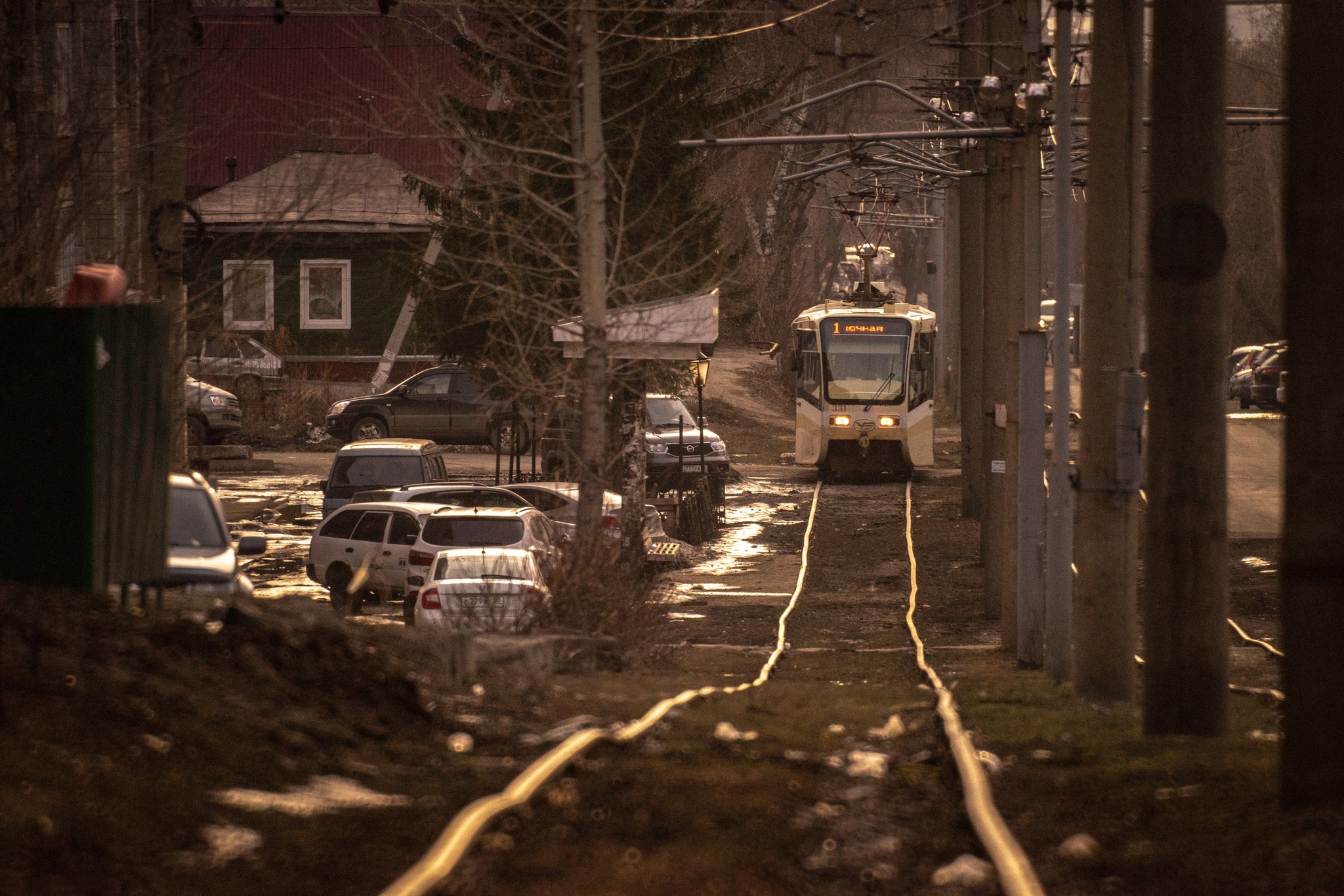 Very long-focus photos - My, The photo, Lens, Soviet optics, Groove, Tram, Dog, cat, Longpost, Tomsk