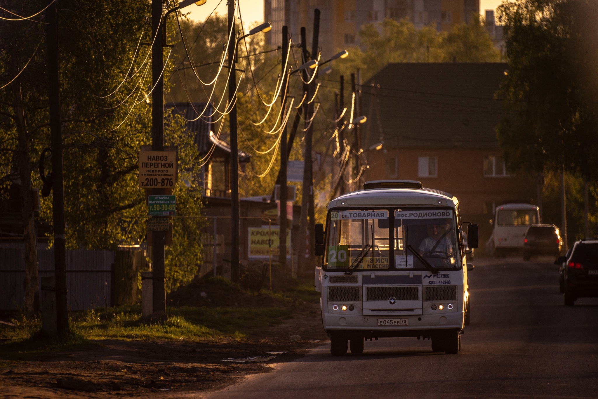 Very long-focus photos - My, The photo, Lens, Soviet optics, Groove, Tram, Dog, cat, Longpost, Tomsk