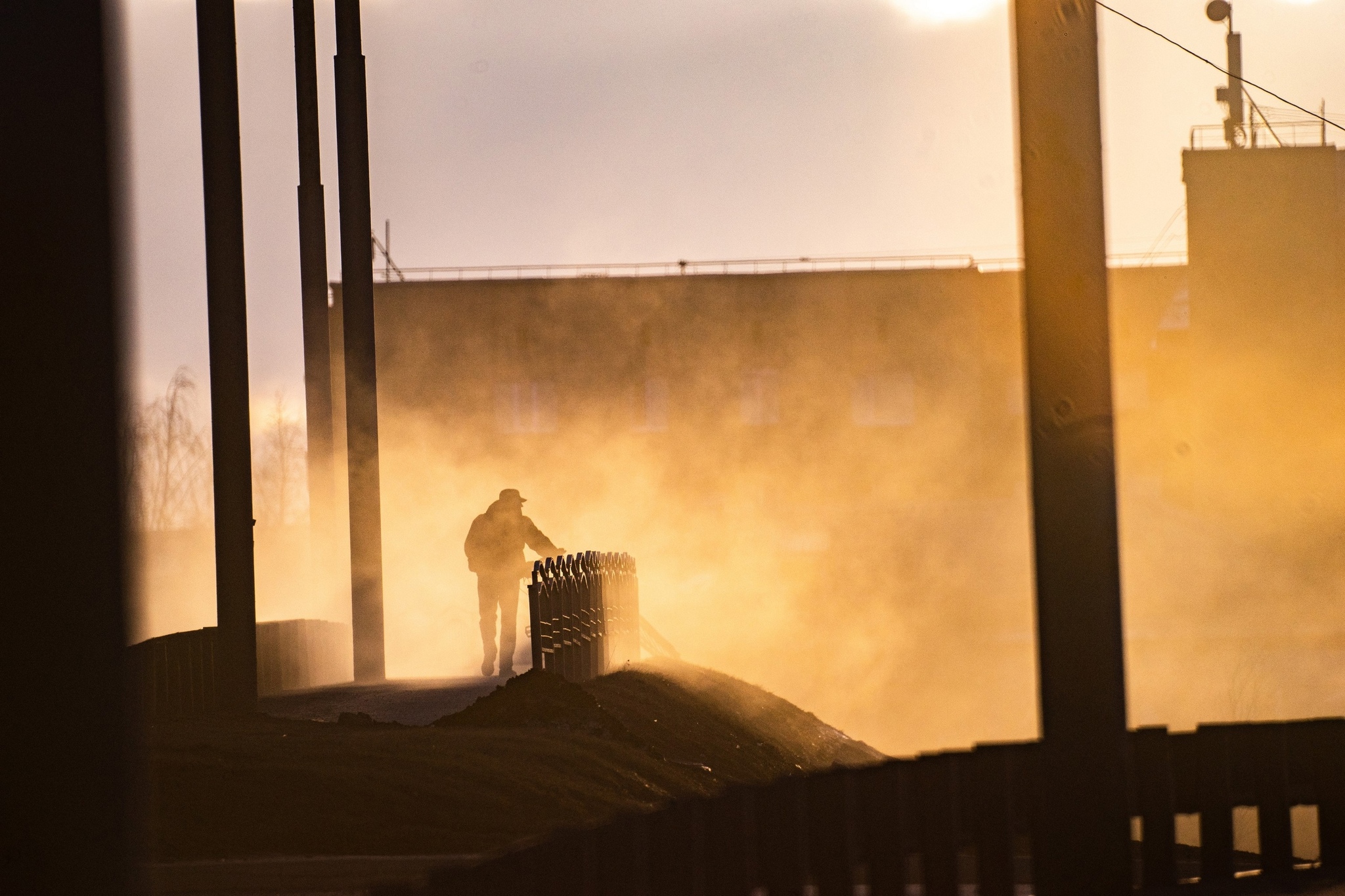 Very long-focus photos - My, The photo, Lens, Soviet optics, Groove, Tram, Dog, cat, Longpost, Tomsk